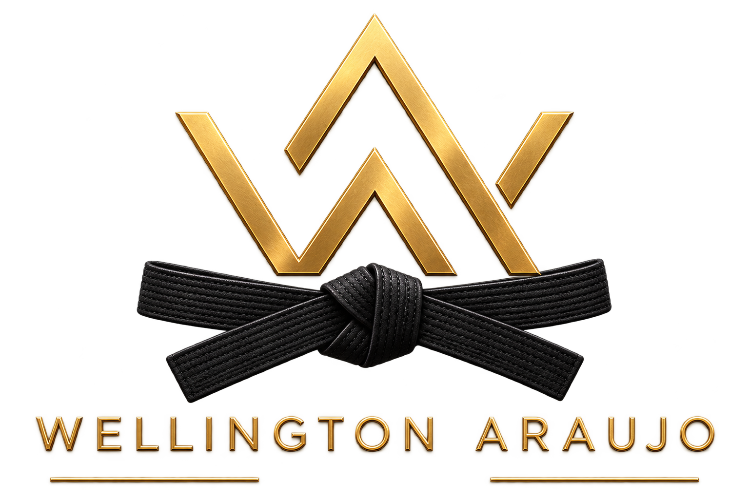 Logomarca Wellington Araujo